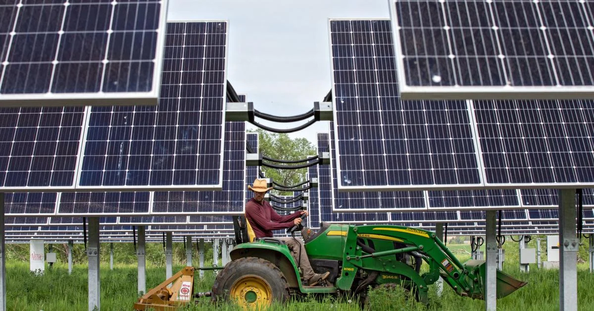 Innovative Applications of Solar Panels in Agriculture